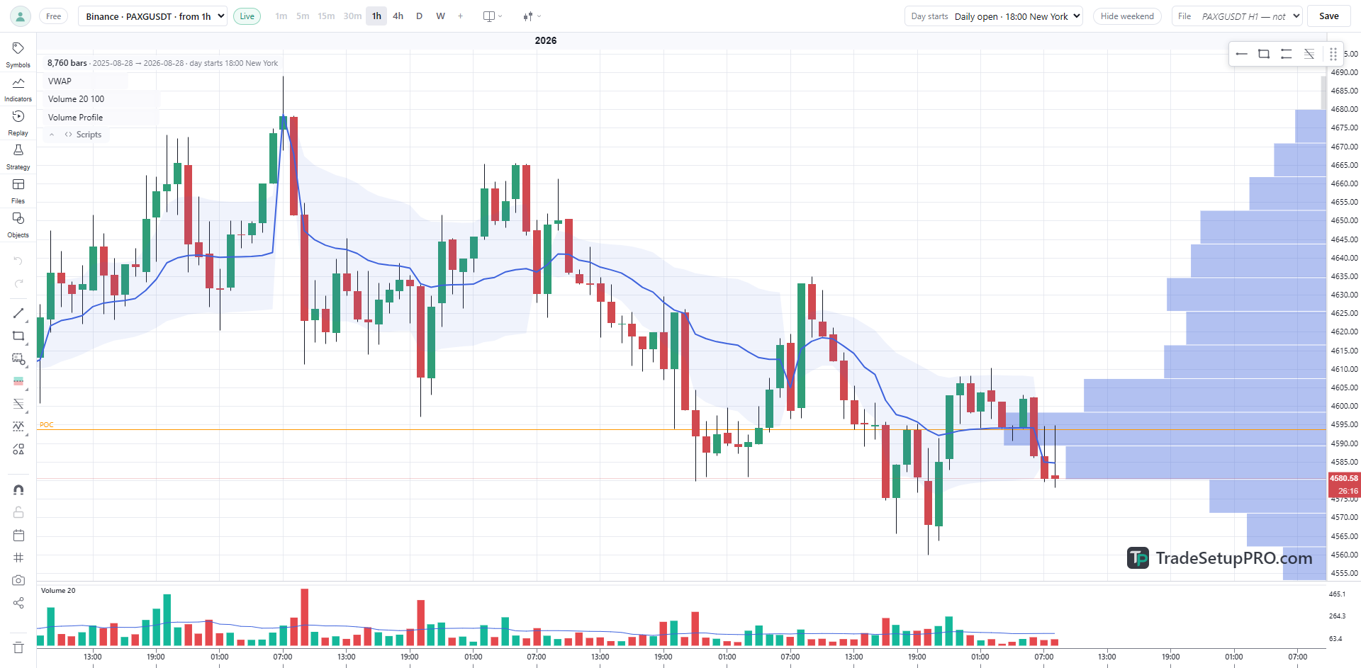 The TradeSetupPRO workspace showing a live hourly gold chart with VWAP, volume bars and a volume profile marking the point of control.